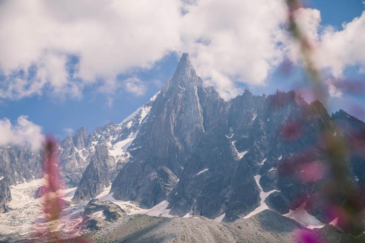 Les Chalets Des Aiguilles シャモニー エクステリア 写真